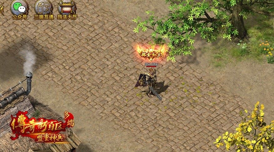 图八.jpg 图八.jpg